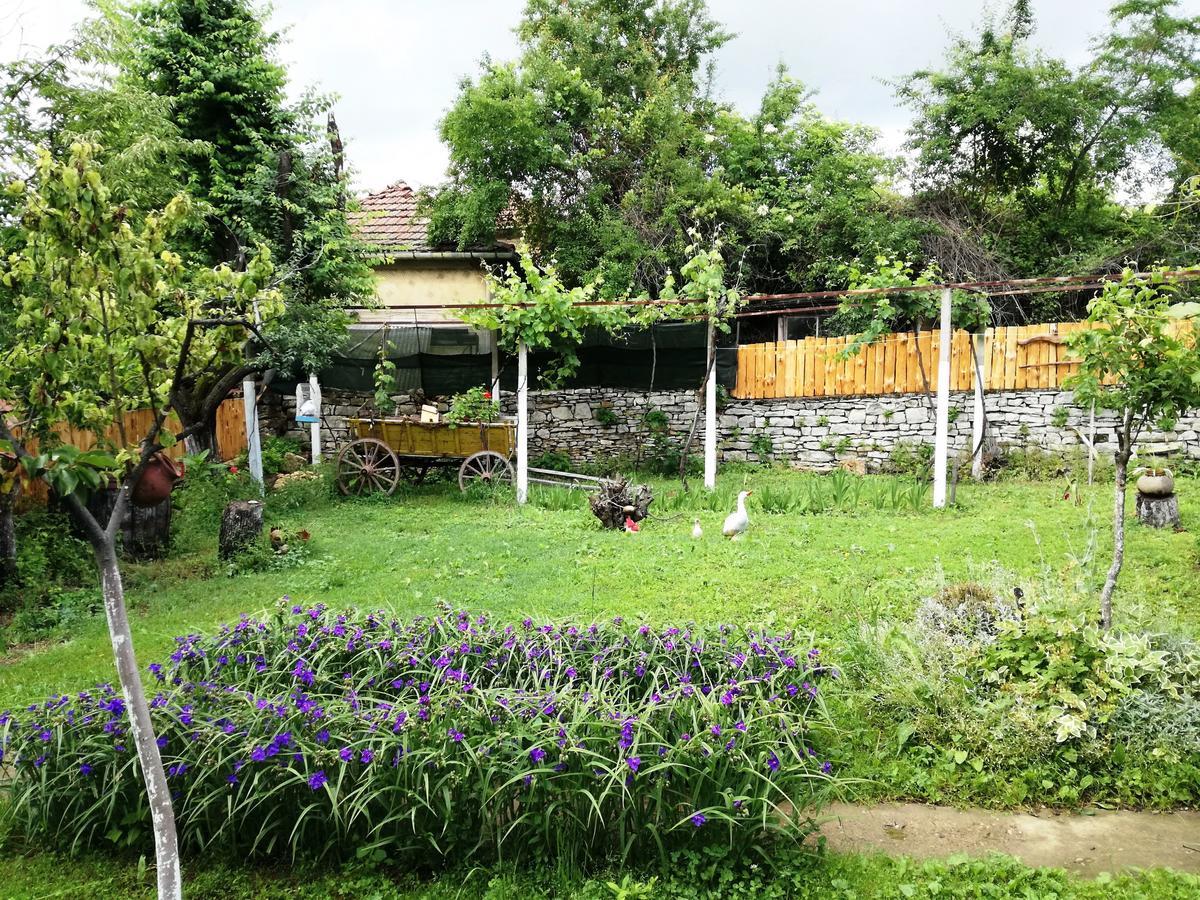 Divna Guest House Krushuna Exterior foto